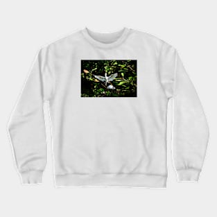 Crane / Swiss Artwork Photography Crewneck Sweatshirt